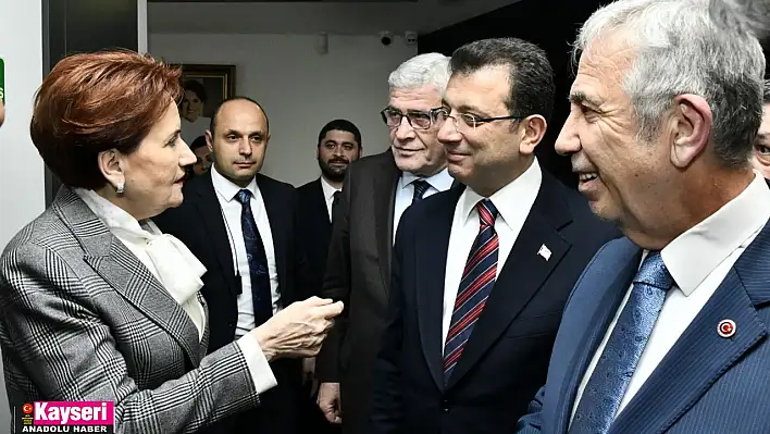 Meral Akşener kararını verdi