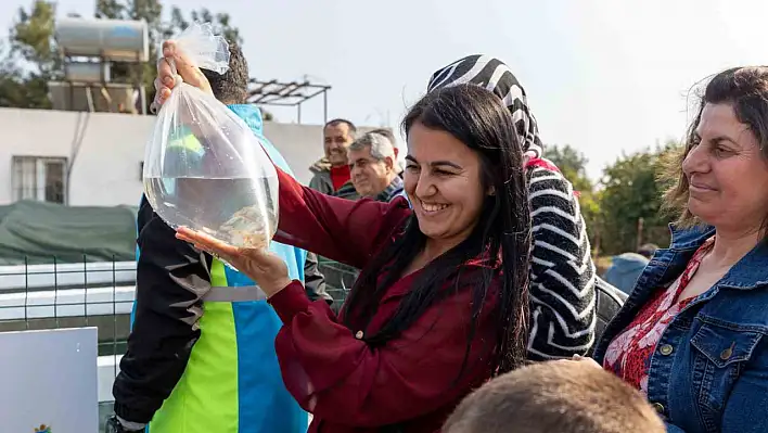 Haşere ile mücadele için lepistes balığı yetiştirecekler!