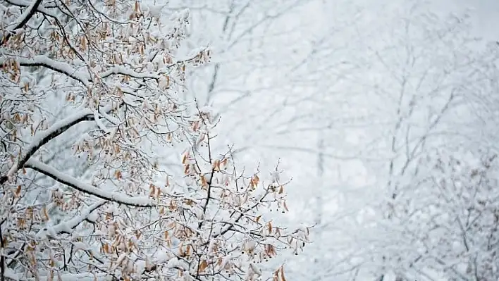 Meteorolojiden uyarı - Kayseri'de kar bekleniyor!