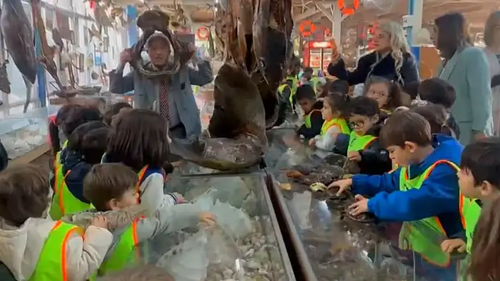 Minikler mumya balıkları ilgiyle inceledi