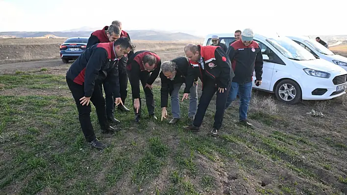 Müdür sahaya indi! Tarlada bakın neyi kontrol ettiler?