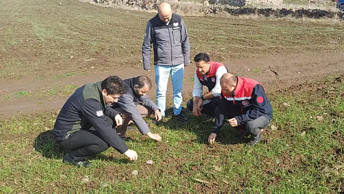 Müdür ve ekibi tarlada bakın neyi inceledi?