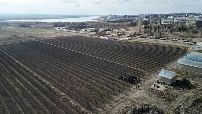 Meyve ağacı budama eğitimi düzenlendi