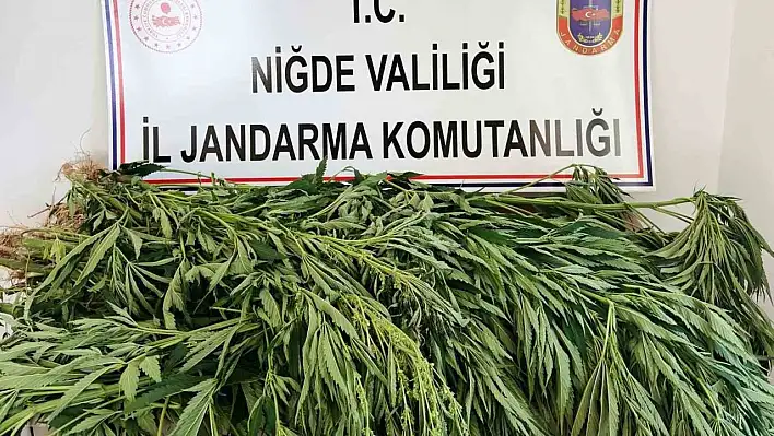 Niğde'de uyuşturucu operasyonu : 2 gözaltı