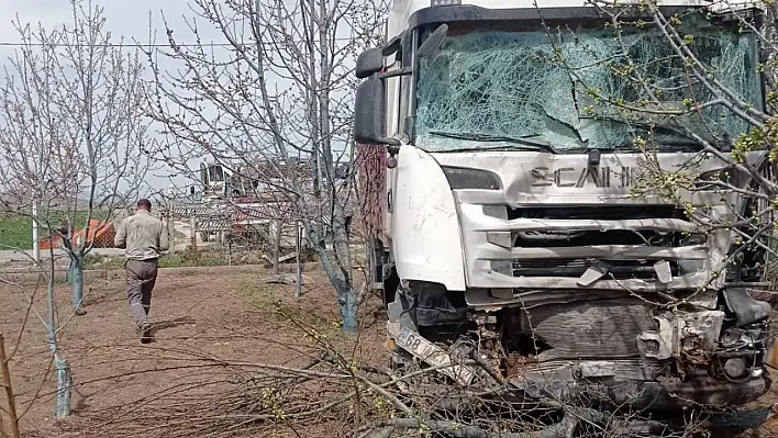 Niğde'de tır bahçeye daldı!