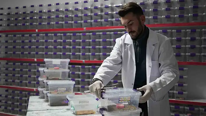 Niğdeli girişimci akrep zehrini yurtdışına satıyor