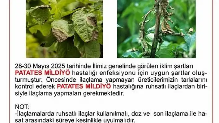Niğde'de üreticilere mildiyö uyarısı
