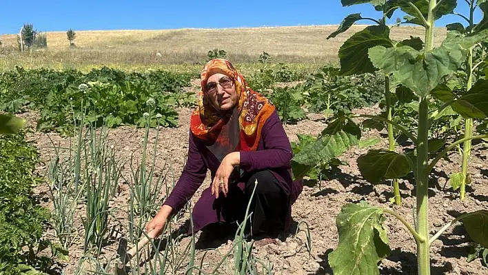 O projeyi gördü köyüne katkı için kolları sıvadı!