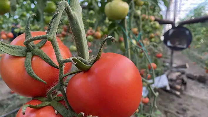 Meyve ve sebzede rekor artış! Antalya'da fiyatlar son 7 yılın zirvesinde