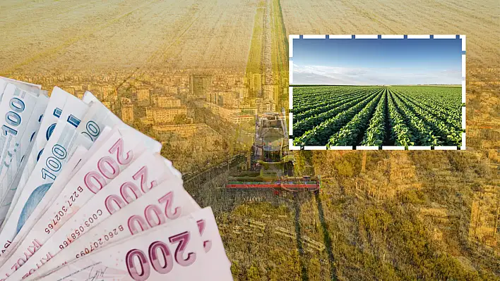 Ödemeler başlıyor: Çiftçilerin hesaplarına milyonlarca lira aktarılacak!