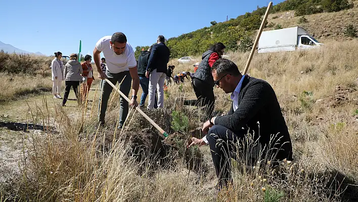 Öğretim üyeleri Ali Dağı'na ağaç dikti