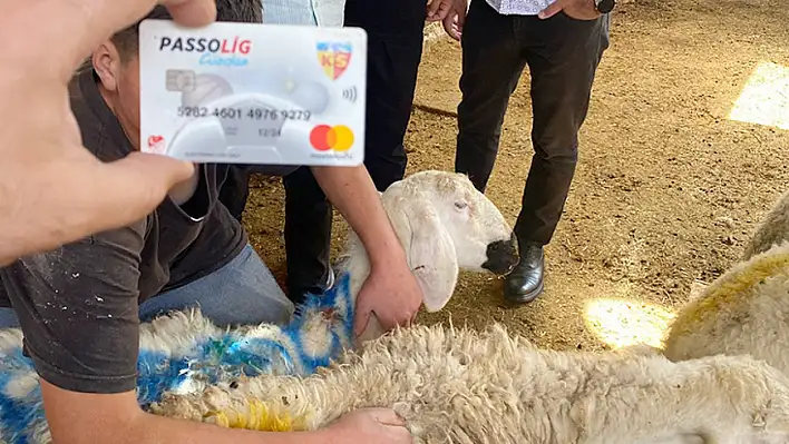 Önce Vatan' diyen Dayıoğlu Kurbanlık, anlamlı kampanyasıyla Kayseri'de fark oluşturdu