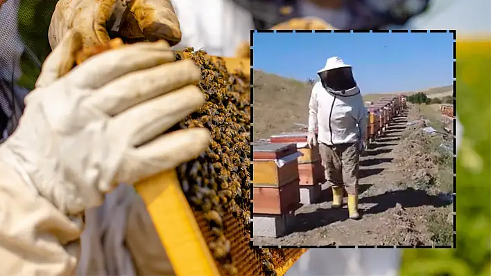 ORKÖY'den üreticilere organik destek!