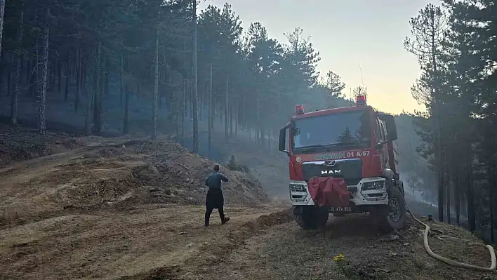 Adana'da orman yangını kontrol altına alındı!