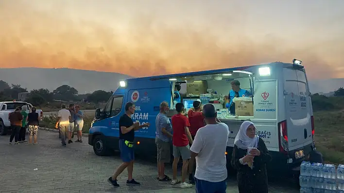 Orman yangınları hüzne boğdu - 800 bin fidan yeniden toprakla buluştu!