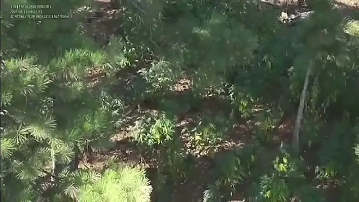 Pozantı'da dron destekli operasyon