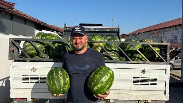 Coğrafi işaretli karpuzun hasadı başladı