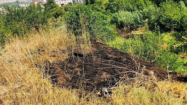 Otluk alanda çıkan yangın bahçeye sıçramadan söndürüldü