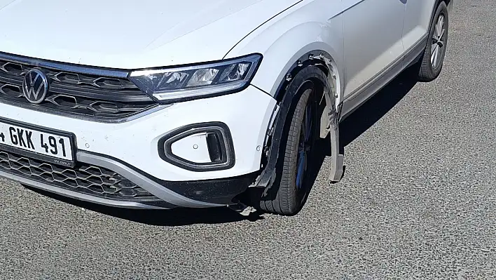 Otomobilin çarptığı köpek telef oldu