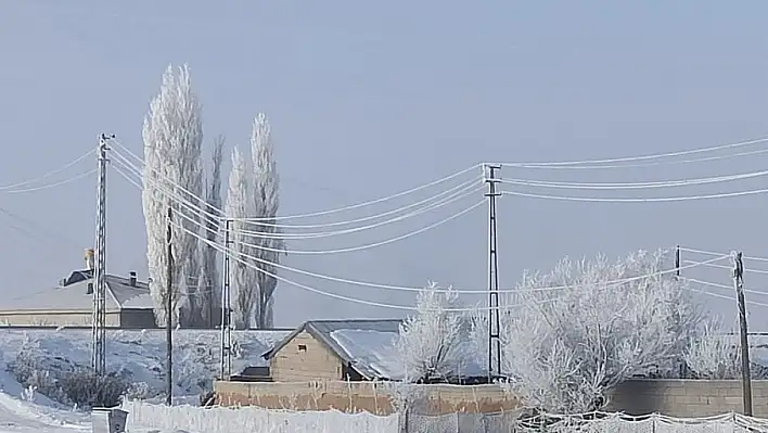 İlçeler buz kesti, ağaçlar kırağı tuttu