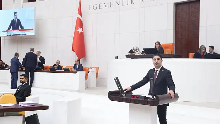 Özdemir'den İsveç açıklaması!