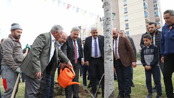 Palancıoğlu: 'Melikgazi'de çınar ağaçlarıyla yeşil bir gelecek inşa ediyoruz'