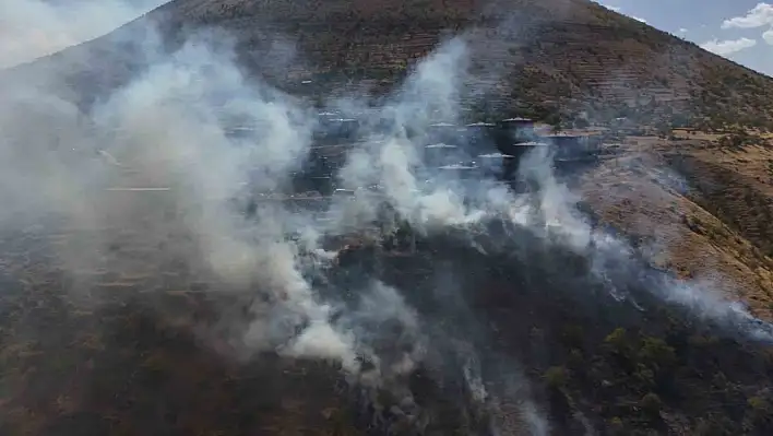 Kayseri'de patlıcan közlemek istediler: Ormanı yaktılar!