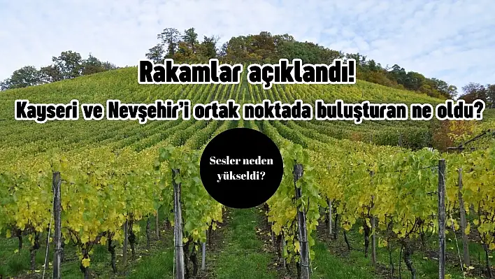 Rakamlar açıklandı! Kayseri ve Nevşehir'i ortak noktada buluşturan ne oldu?