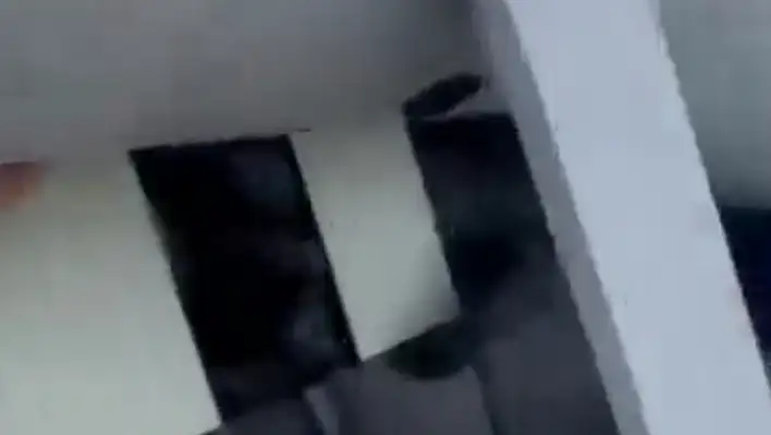 Adana'da son anda kurtardılar!