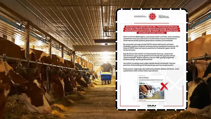 Şap hastalığında son durum ne? DMM'den açıklama geldi!