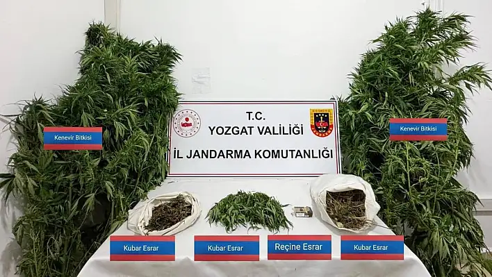 Kenevir ve esrar ele geçirildi