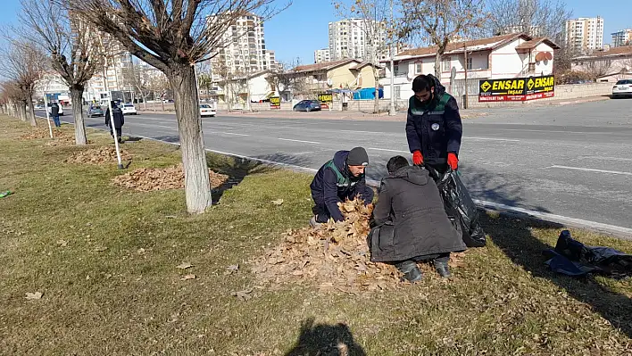 Şehrin dört bir yanında temizlik, bakım ve düzenleme çalışmaları sürüyor!