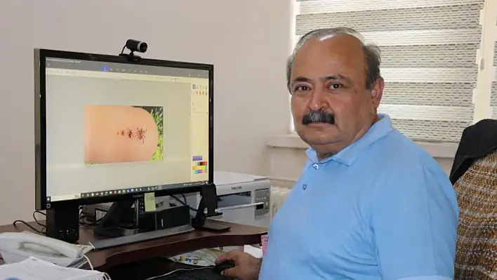 1 kene 10 bine yakın yumurta bırakabiliyor!