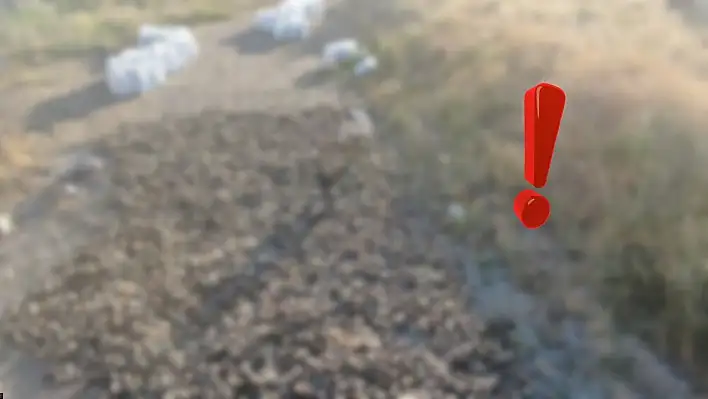 Sivas'ın sırrı güneşe serildi – Dünyaca ünlü geleneğin ilk adımı atıldı