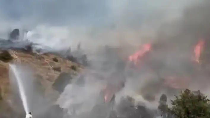 Sivas Hafik'te ağaçlık alanda yangın!