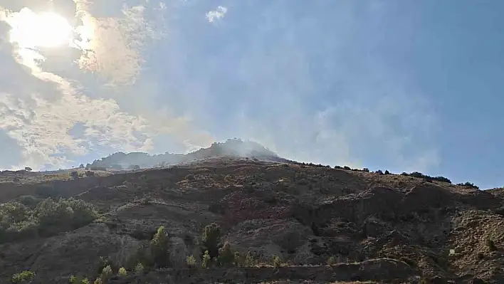 Sivas'ta orman yangını