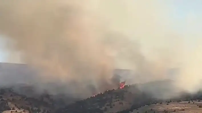 Sivas'ta örtü yangını