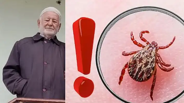 Sivas'ta keneden ölenlerin sayısı arttı
