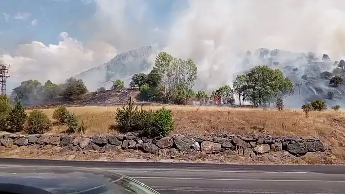 Zara'da makilik alanda yangın!