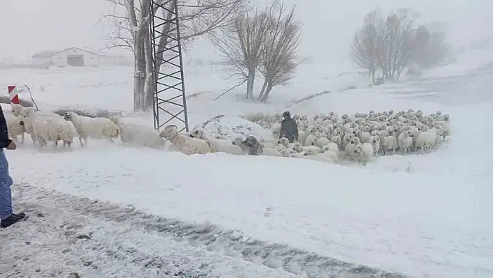 Sivas'ta mahsur kalan çoban kurtarıldı!