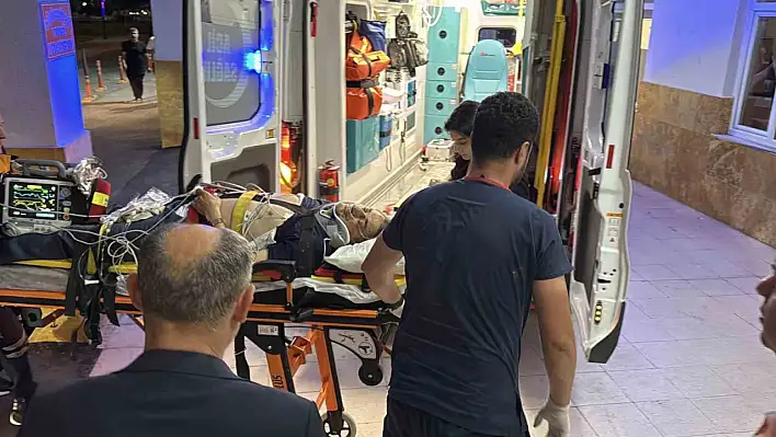 Bitlis eski Valisi Erol Karaömeroğlu hayatını kaybetti