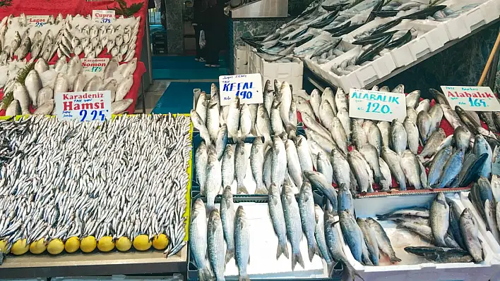 Soğuyan hava Kayseri'de balık fiyatlarını nasıl etkiledi?