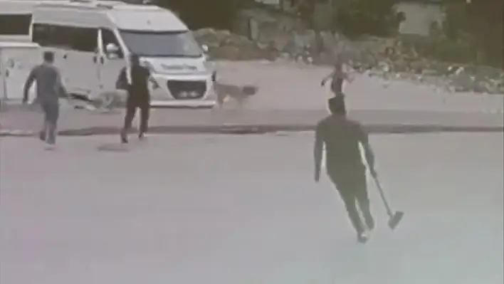 Küçük çocuk sokak köpeklerinden son anda kurtarıldı