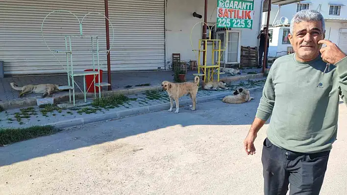 Adana'da şikayetler bitmiyor!