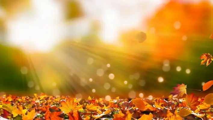 Sonbaharda alerji alarmı: Uzman uyardı!