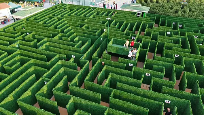 Konya'da bilgi labirenti