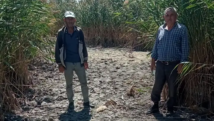 Sultan Sazlığı alarm veriyor!