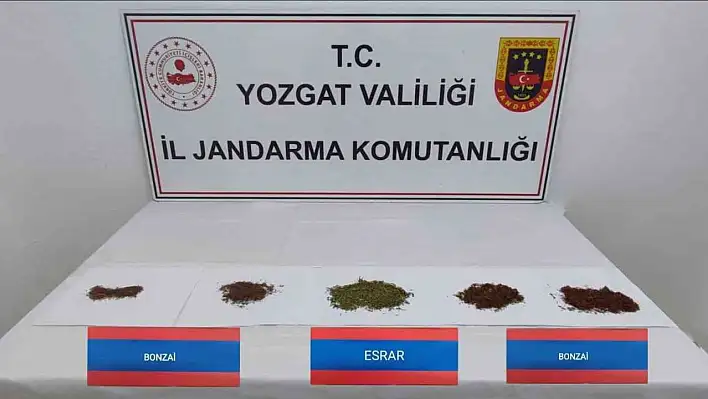 İstihbarat yakalattı! Bonzai ve esrar ele geçirildi