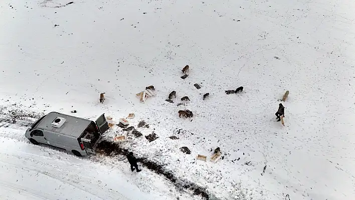 Suriye'de geri dönen balıkları Kayseri'de yaban hayvanlarına dağıttı