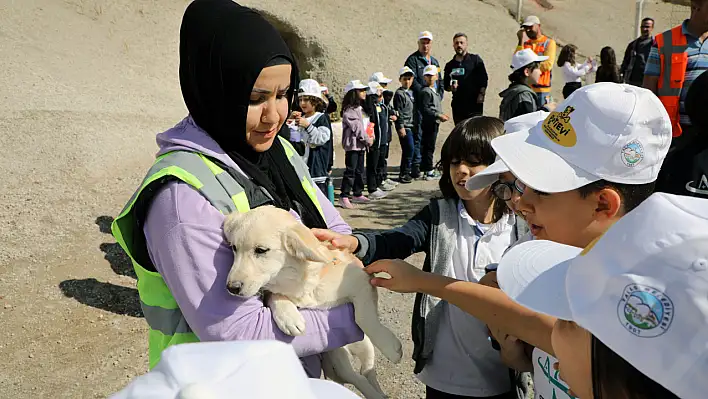 Talas Belediyesi Pati Evi: 4 Yıldır Minik Dostlara Yuva